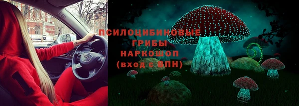 а пвп мука Верхний Тагил