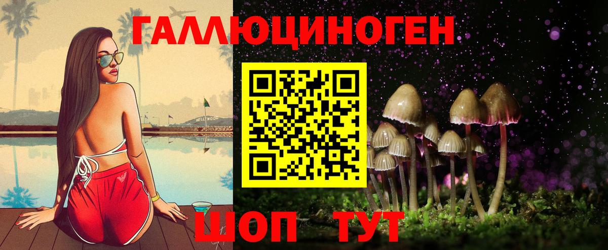Галлюциногенные грибы Magic Shrooms Выборг