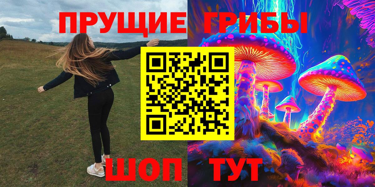 купить   Галлюциногенные грибы ЛСД  Выборг  Псилоцибиновые грибы ЛСД 