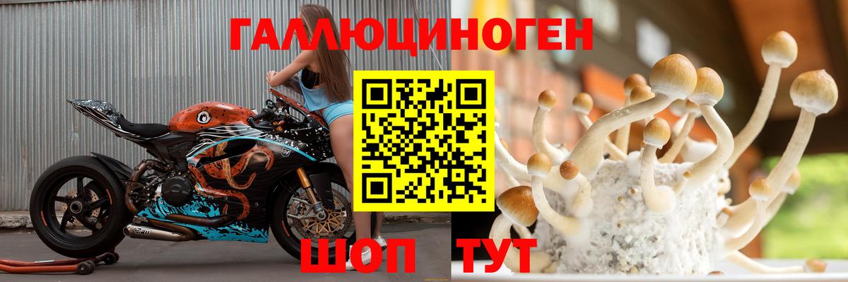 МЕФ кристаллы  МЕТАМФЕТАМИН  Выборг  Гашиш  Бошки Шишки  Кокаин  Вход с VPN 