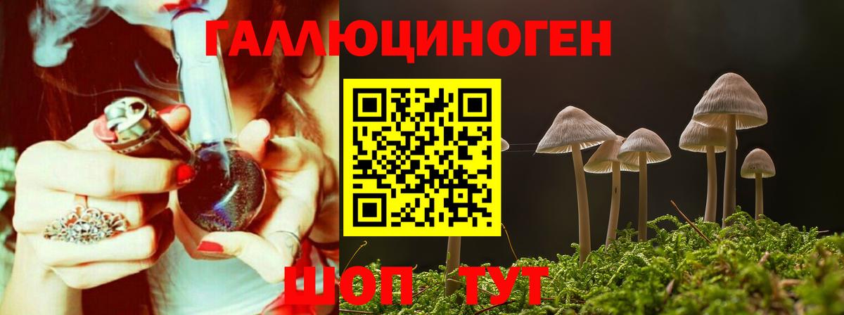 наркотики  Вход с VPN  Галлюциногенные грибы GOLDEN TEACHER  Выборг  Псилоцибиновые грибы Magic Shrooms 